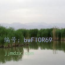 Զ