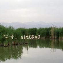 ʱ