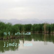 Զ