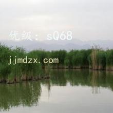 ܶ