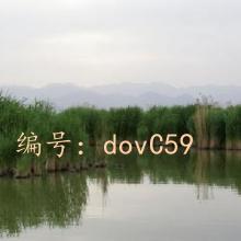 Զ
