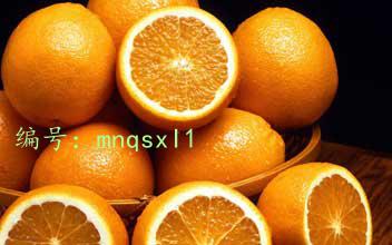 ҵ