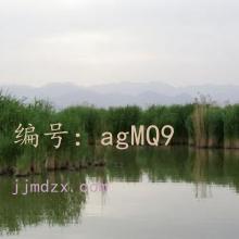 ʱ