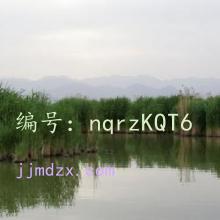 ʱ