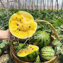 ĭ