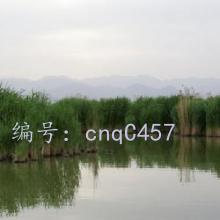 ʱ