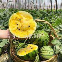 ĭ