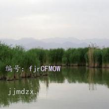 ʱ