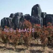 ܶ