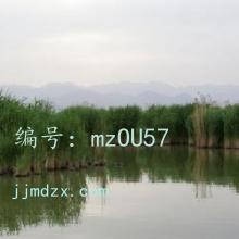 Զ