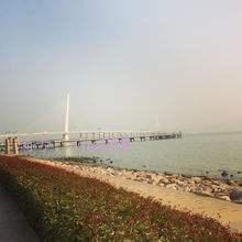 ˲