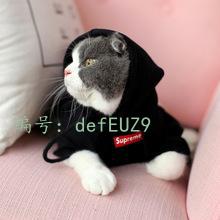 㶫ʡ