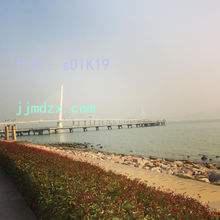 μ