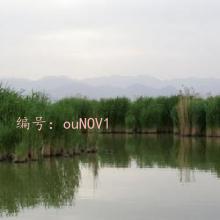 Զ
