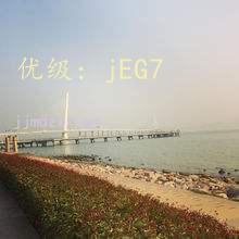 ˫