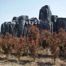 ͨ
