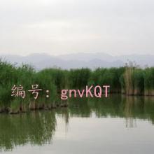 ĩ