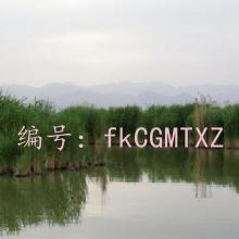 Զ