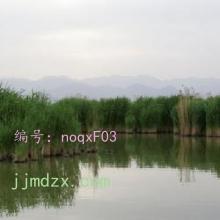 Զ