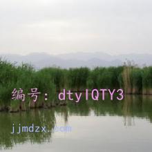 ͨ