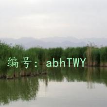 Զ