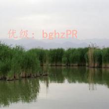 Զ